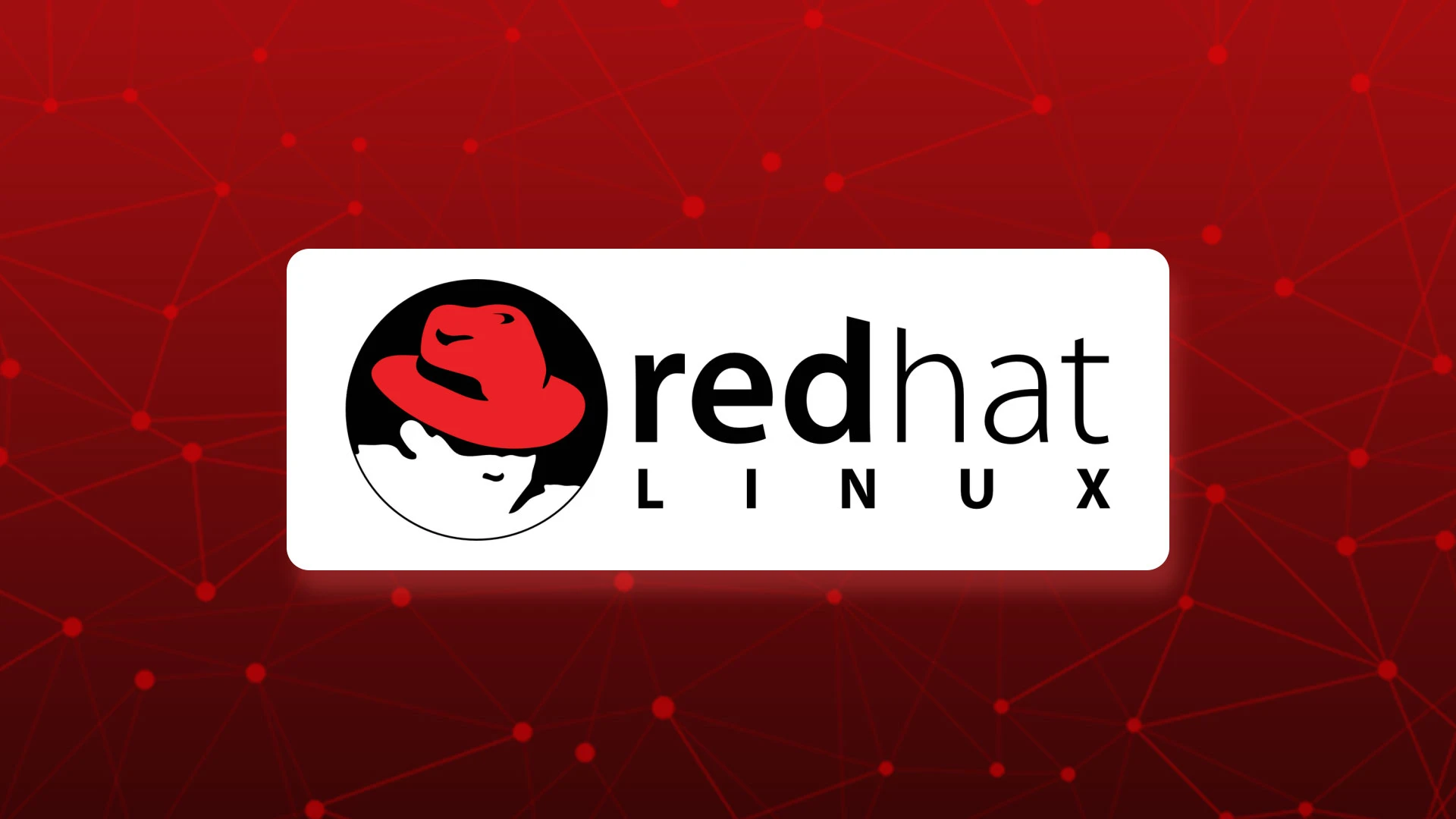 Linux Redhat İnzibatçılığı üzrə təlimə yekun vurulub.